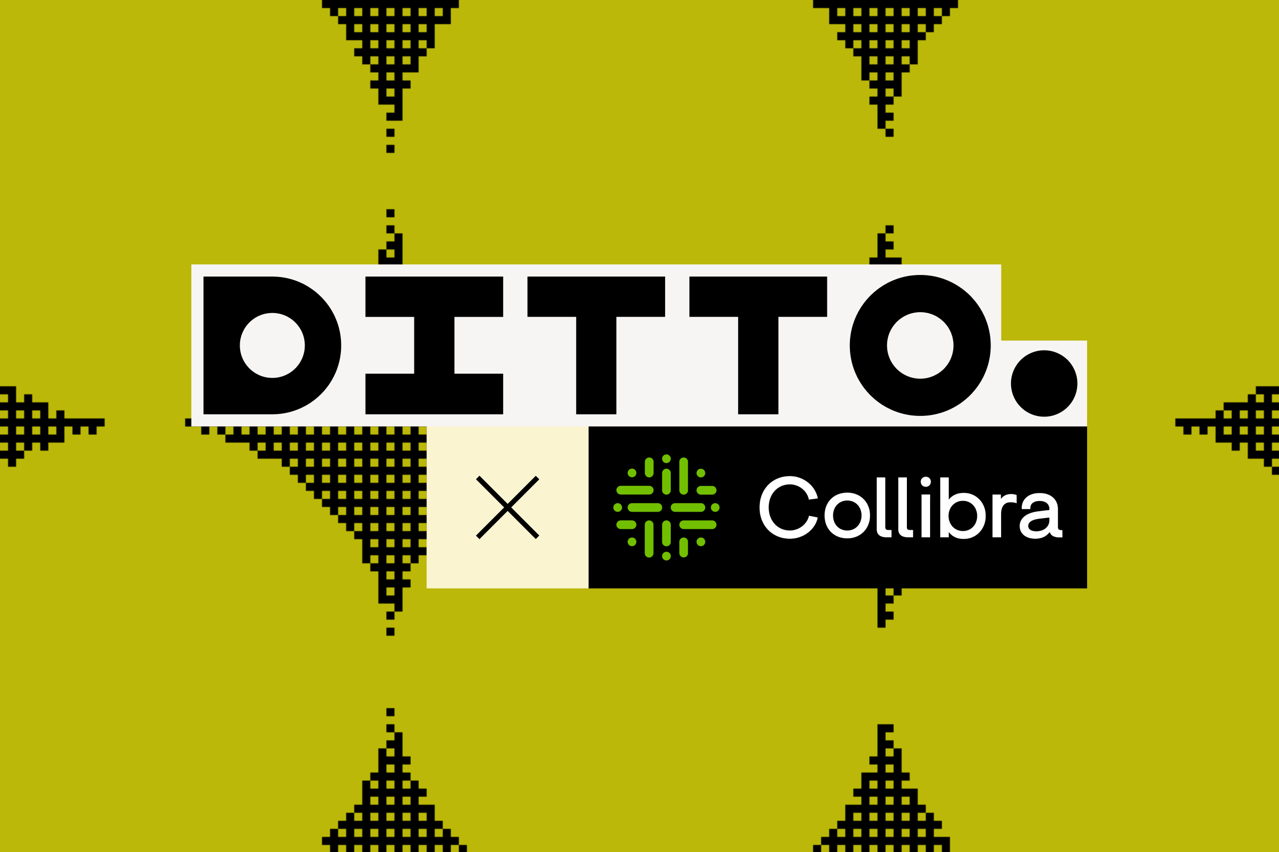 A black 'Ditto x Collibra' wordmark lockup on an olive green background with a pixelated pattern.